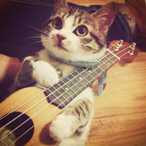 淫词艳曲激情骚麦自慰
